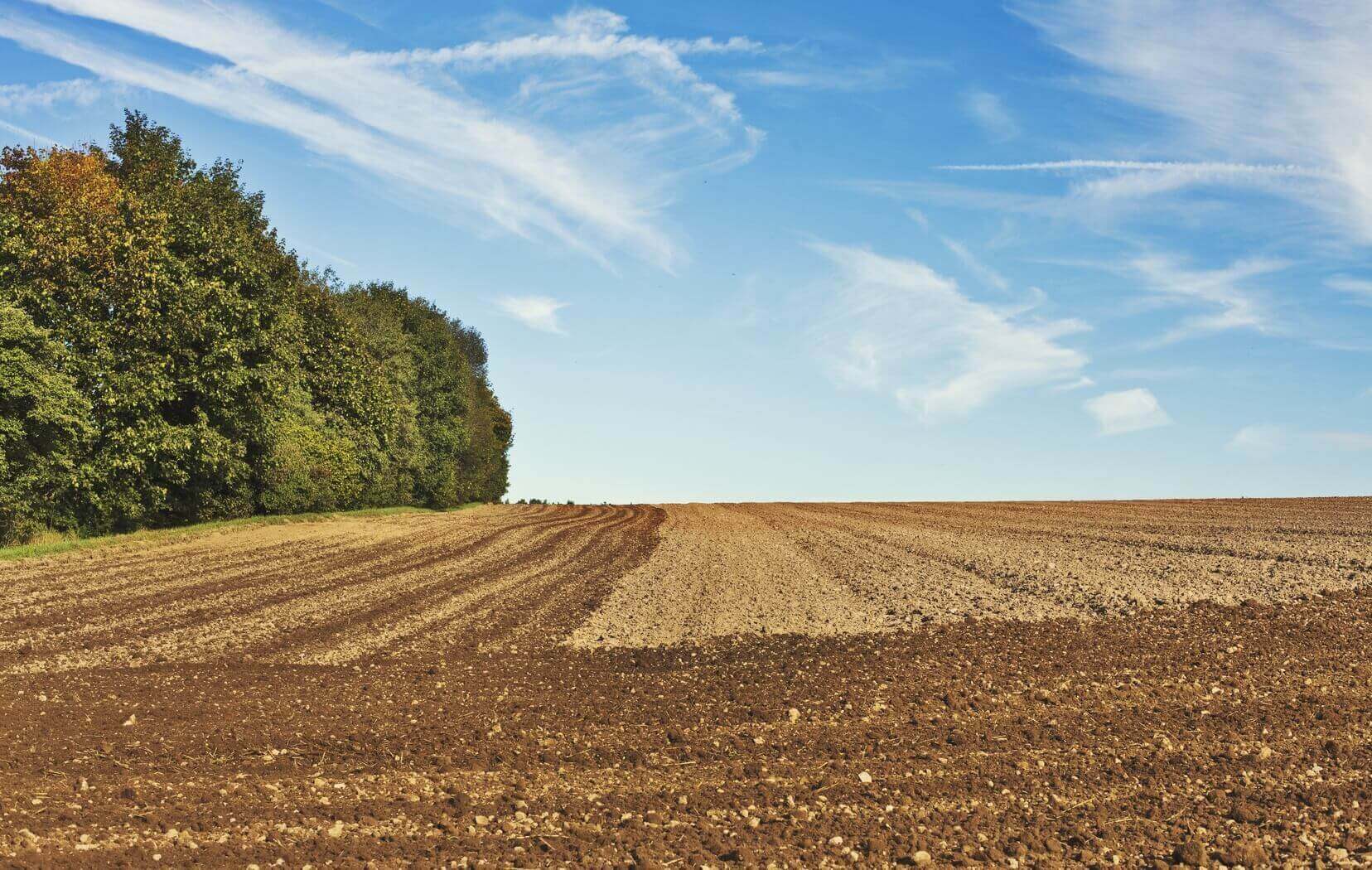 Terrain