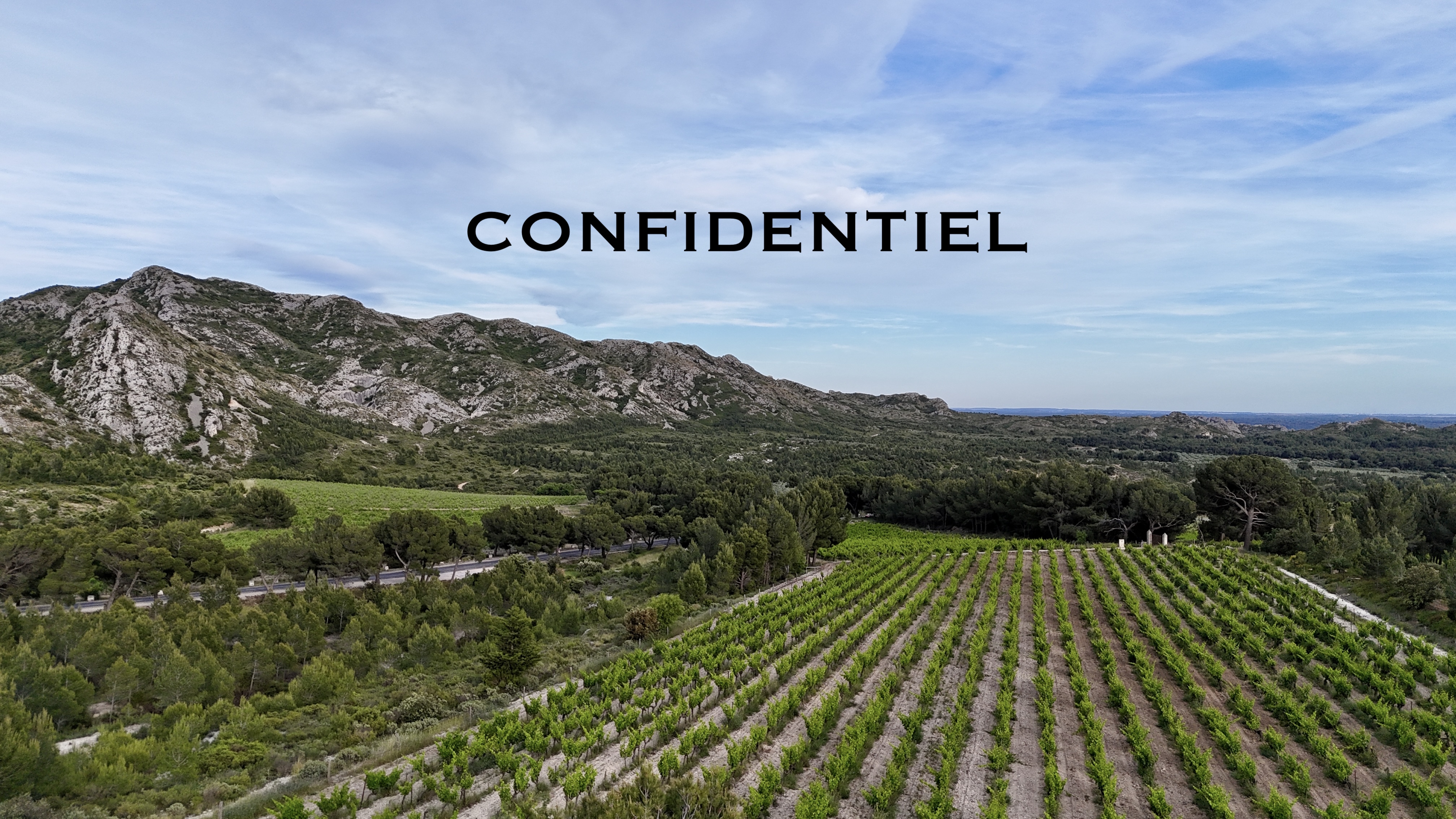 Propriété d' exception au cœur des Alpilles